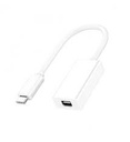 ADAPTATEUR TYPE C TO MINI DISPLAY