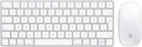 Kit  Clavier et souris SANS FIL APPLE OCC AZERTY